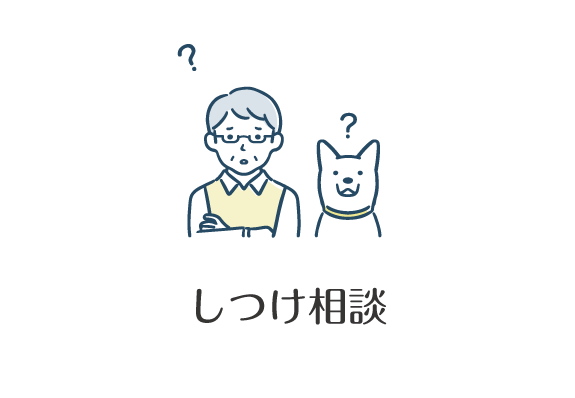 しつけ相談
