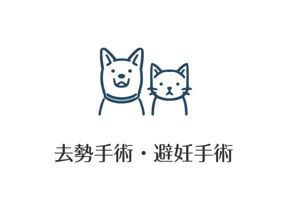 去勢手術　避妊手術