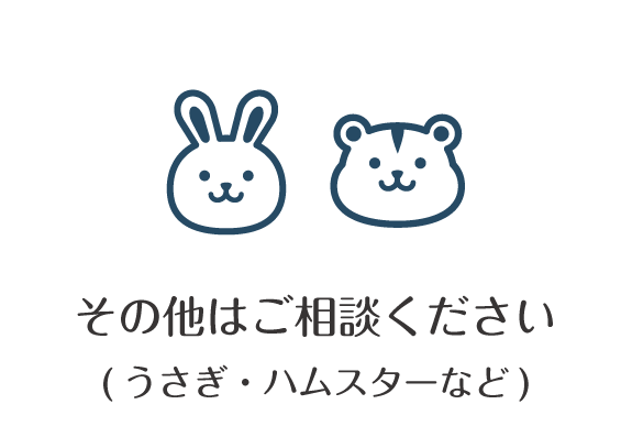 うさぎ　その他